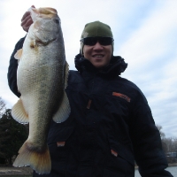 Austin 10 lbs 4 ozs                            