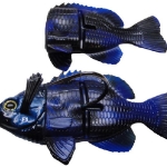 Black and Blue