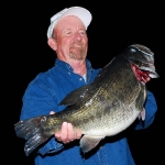 ShareLunker 489 - James Quisenberry 15.61 lbs