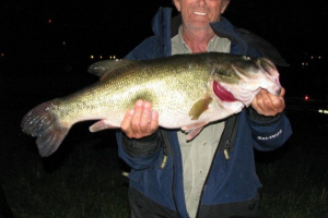 Big Bass