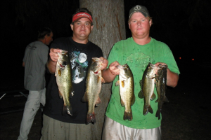 fish018