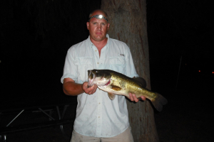 fish019