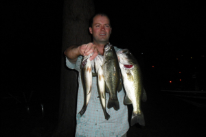 fish020