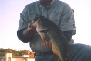 Lake Austin - 10.06 lbs