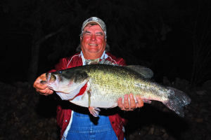 Budweiser ShareLunker 463 - Ronnie Arnold 15.1 lbs