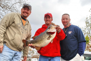 ShareLunker 459
