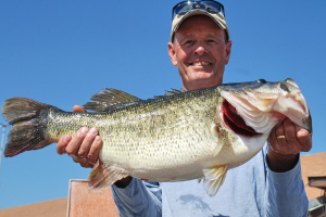 ShareLunker 468 - Bill Sweeten