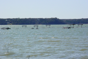 dsc00022