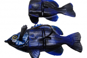 Black and Blue