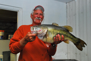 ShareLunker 483 - Randy Jackson 13.03 lbs