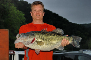 ShareLunker 501 - Jim McDaniel 13.01 lbs
