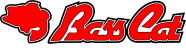 BassCat